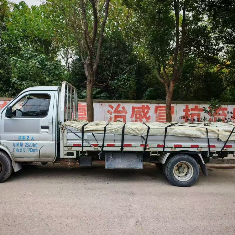 武义到梅州物流公司|武义到梅州物流专线|武义到梅州整车运输